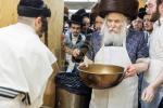  בילדער גאלערי: פסח בחצר הקודש באבוב 