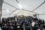 טויזענטער בילדער פונעם גרויסארטיגן יומא דהילולא אין קערעסטיר חלק א'