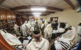 טויזענטער בילדער פונעם גרויסארטיגן יומא דהילולא אין קערעסטיר חלק א'