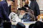 ל"ג בעומר בחצר הקודש צאנז קלויזענבורג 