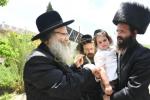 אדמורים ורבנים באתרא קדישא מירון 