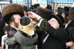 אדמורים ורבנים באתרא קדישא מירון 