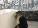 באזוך פון הרב הצדיק רבי מרדכי שטיינער שליט"א אין ארץ ישראל חלק ב'