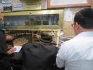 באזוך פון הרב הצדיק רבי מרדכי שטיינער שליט"א אין ארץ ישראל חלק ב'