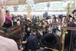 הכנסת ספר תורה לבית המדרש הגדול דסאטמאר ע"י משפחת הרב החסיד ר' אריה לייביש טייטלבוים ז"ל 