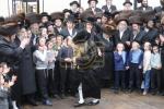 הכנסת ספר תורה לבית המדרש הגדול דסאטמאר ע"י משפחת הרב החסיד ר' אריה לייביש טייטלבוים ז"ל 
