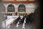פולע גאלערי: ט"ו בשבט בחצר הקודש פאפא 
