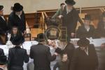 פולע גאלערי: ט"ו בשבט בחצר הקודש פאפא 