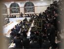 פולע גאלערי: ט"ו בשבט בחצר הקודש פאפא 