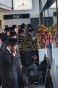 פולע גאלערי: נסיעת עזרת אבותינו בראשות כ"ק אדמו"ר מפאפא שליט"א 