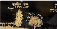 Main image for נייע מוזיק ווידעא - איך פראביר - דוד קנאבלאך