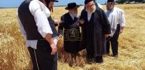 די ערשטע ווייץ שניט דורך דיינים מומחים פארן מצה בעקעריי ד'קהל יטב לב סאטמאר וומ"ס בשליחות כ"ק אדמו"ר סאטמאר שליט"א אין ביפארגרייטונג צים קומענדיגע חג הפסח שנת תשפ"ה הבעלל"ט