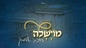 Main image for מוישל'ה (שניידער) - סוכת שלומך