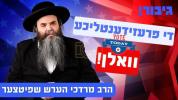 די פרעזידענטליכע וואלן | הרב מרדכי הערש שפיצער