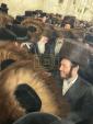 כ"ק אדמו"ר ממחנובקא שליט"א ביים כותל המערבי