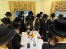 כ"ק אדמו"ר מקאשוי שליט"א ביי ברכות אילנות ביים הויף פון הרבני הרה"ח ר' נתן ארי' ווייס שליט"א‎‎