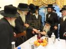 כ"ק אדמו"ר מקאשוי שליט"א ביי ברכות אילנות ביים הויף פון הרבני הרה"ח ר' נתן ארי' ווייס שליט"א‎‎
