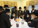 כ"ק אדמו"ר מקאשוי שליט"א ביי ברכות אילנות ביים הויף פון הרבני הרה"ח ר' נתן ארי' ווייס שליט"א‎‎