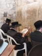 כ"ק אדמו"ר מפינסק קארלין שליט"א ביים כותל המערבי 
