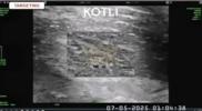 Main image for 