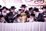 פולע גאלערי: עריכת שולחן הטהור ל"ג בעומר בחצר הקודש סאטמאר 