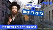Main image for מסירת נפש ביים דייטש