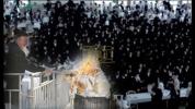 Main image for הדלקה לג בעומר בחצר הקודש קארלין אין מירון