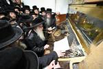 בילדער פון כ"ק אדמו"ר מצאנז שליט"א אין מירון