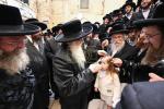 בילדער פון כ"ק אדמו"ר מצאנז שליט"א אין מירון