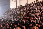 פולע גאלערי: הדלקה בחצר הקודש סקולען פון לעיקוואד