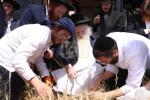 כ"ק גאב"ד ירושלים שליט"א ביים שניידן ווייץ לכבוד פסח תשפ"ו הבעל"ט
