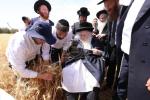 כ"ק גאב"ד ירושלים שליט"א ביים שניידן ווייץ לכבוד פסח תשפ"ו הבעל"ט