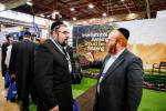פולע גאלעריע פון די סאטמארע עקספאו "סאטמארק"
