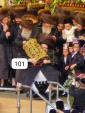 פולע בילדער און ווידיאוס פון די הכנסת ספר תורה אין בעלזא ערב יו"ט