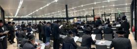 תפלות אין מעלבראן אוסטראליע איבער די מצב מלחמה אין ארץ ישראל 