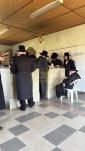כ"ק גאב"ד מאקאווא שליט"א ביים ציון השל"ה הקדוש 