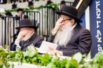 פולע גאלערי פונעם גרויסארטיגן מעמד אדירי התורה 