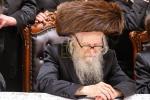 שמחת החתונה בחצרות סערדאהעלי - אמונת ישראל - תולדות יהודה סטוטשין - שבט הלוי - גארליץ