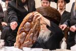שמחת החתונה בחצרות סערדאהעלי - אמונת ישראל - תולדות יהודה סטוטשין - שבט הלוי - גארליץ