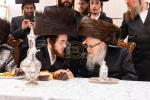 שמחת החתונה בחצרות סערדאהעלי - אמונת ישראל - תולדות יהודה סטוטשין - שבט הלוי - גארליץ