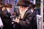 פולע גאלעריע פון חתונה פון א אייניקל פון כ"ק אדמו"ר מבאבוב שליט"א 