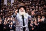 פולע גאלעריע פון חתונה פון א אייניקל פון כ"ק אדמו"ר מבאבוב שליט"א 