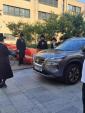 טראגעדיע אין אנטווערפן 