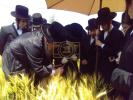 כ"ק אדמו"ר מסערדאהעלי שליט"א און כ"ק אדמו"ר מוויען שליט"א ביים שניידן ווייץ לקראת יום טוב פסח תשפ"ו הבעל"ט 