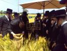 כ"ק אדמו"ר מסערדאהעלי שליט"א און כ"ק אדמו"ר מוויען שליט"א ביים שניידן ווייץ לקראת יום טוב פסח תשפ"ו הבעל"ט 