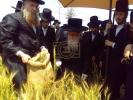כ"ק אדמו"ר מסערדאהעלי שליט"א און כ"ק אדמו"ר מוויען שליט"א ביים שניידן ווייץ לקראת יום טוב פסח תשפ"ו הבעל"ט 