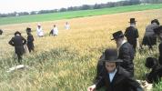 כ"ק אדמו"ר מסערדאהעלי שליט"א און כ"ק אדמו"ר מוויען שליט"א ביים שניידן ווייץ לקראת יום טוב פסח תשפ"ו הבעל"ט 