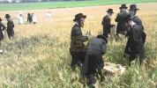 כ"ק אדמו"ר מסערדאהעלי שליט"א און כ"ק אדמו"ר מוויען שליט"א ביים שניידן ווייץ לקראת יום טוב פסח תשפ"ו הבעל"ט 