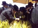 כ"ק אדמו"ר מסערדאהעלי שליט"א און כ"ק אדמו"ר מוויען שליט"א ביים שניידן ווייץ לקראת יום טוב פסח תשפ"ו הבעל"ט 