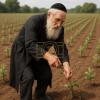 הערליכע מעשה פון מרן הרב מבריסק זי"ע דורך הרב אליהו שווארץ, ביים שיעור פון עמוד היומי דרשו - עירובין דף צ"ג